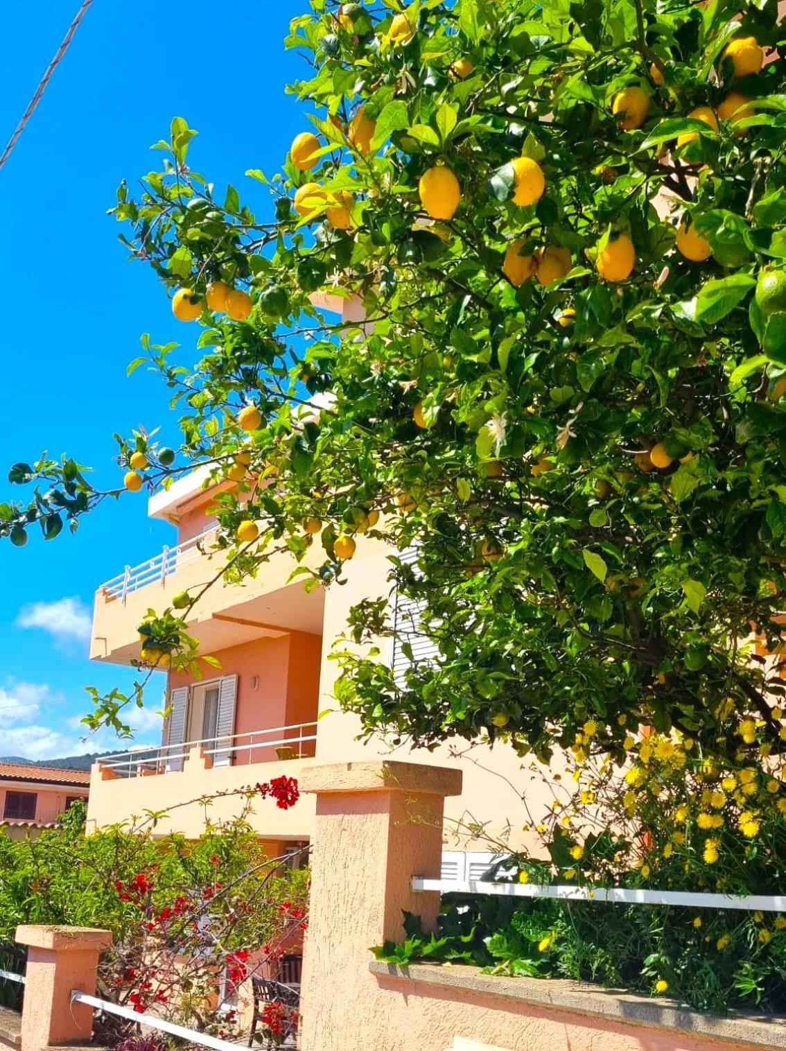 Casa Vacanze Mura Cala Gonone Buitenkant foto