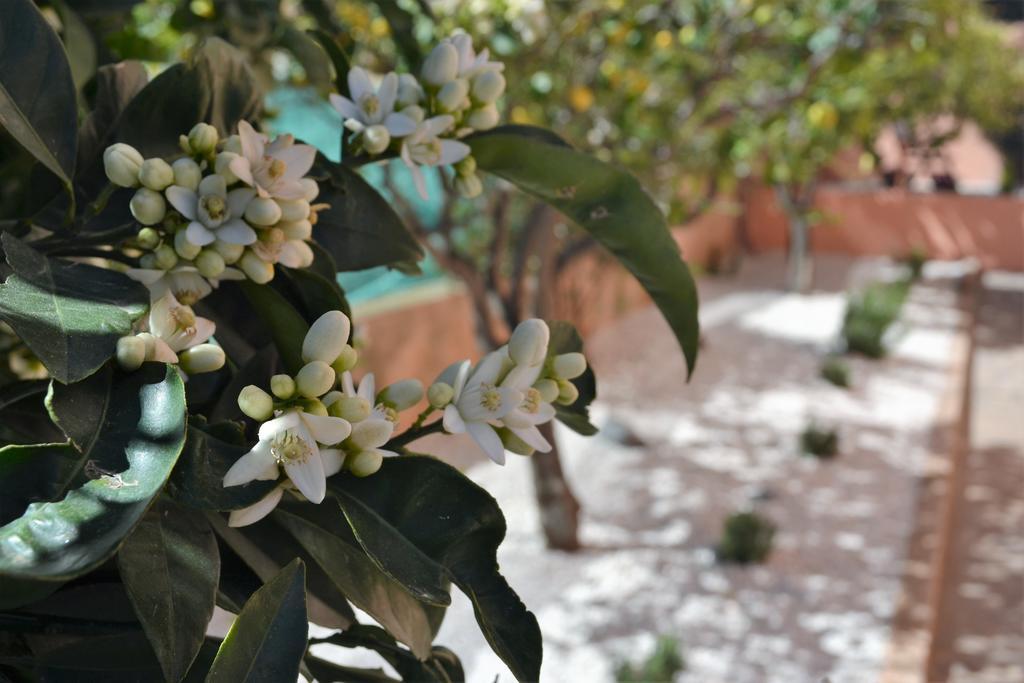 Casa Vacanze Mura Cala Gonone Buitenkant foto